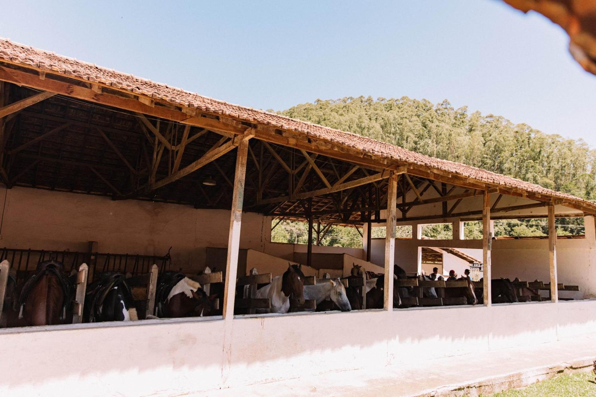 Resort Fazenda 3 Pinheiros Engenheiro Passos Εξωτερικό φωτογραφία