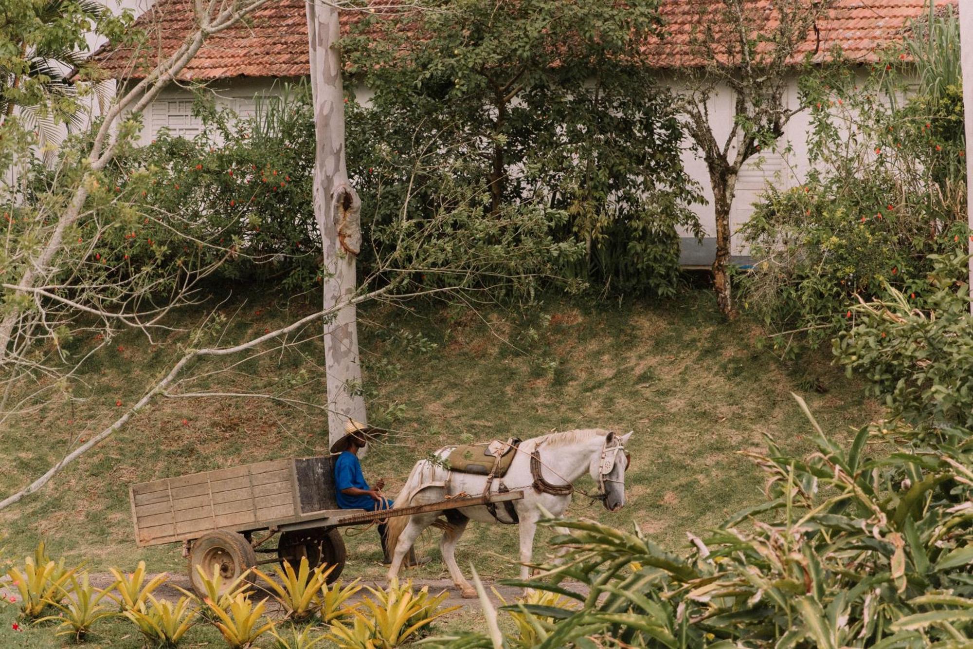 Resort Fazenda 3 Pinheiros Engenheiro Passos Εξωτερικό φωτογραφία